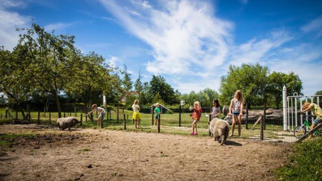 Oranjezon - Vakantiehuis 6 personen Vrouwenpolder Buitenkant foto